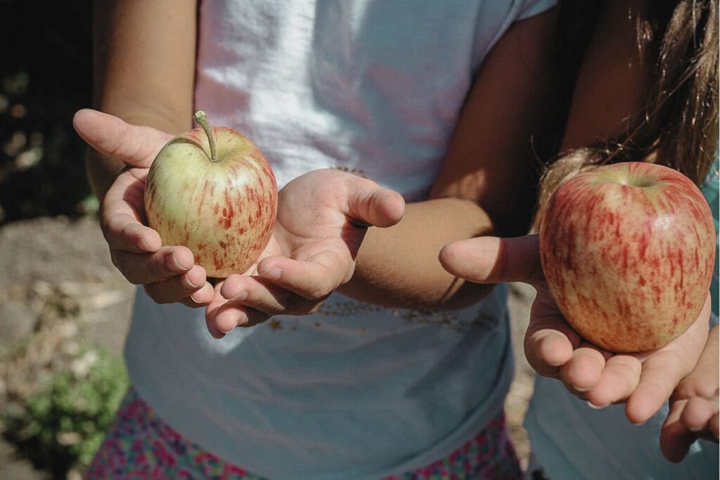 Teach Healthy Habits 2 - Children holding red apples