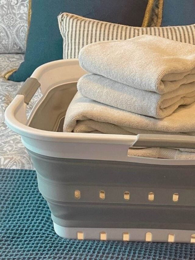 Laundry Essentials 101: Back to the Basics